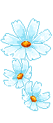 /Files/images/87897886_3010.gif